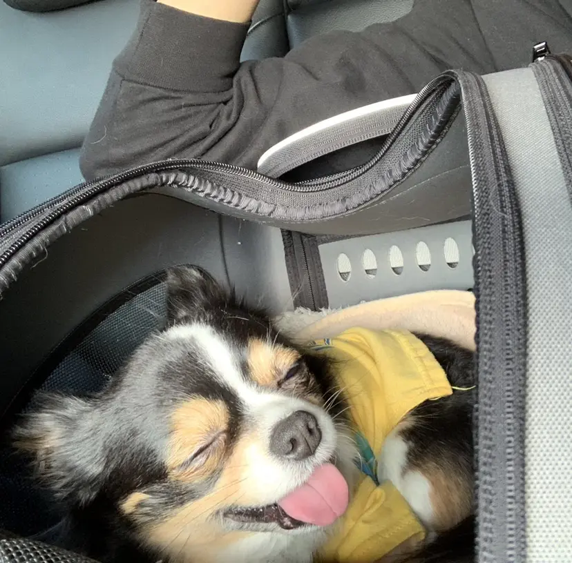 ✦髪質改善✦ koseiの掲載