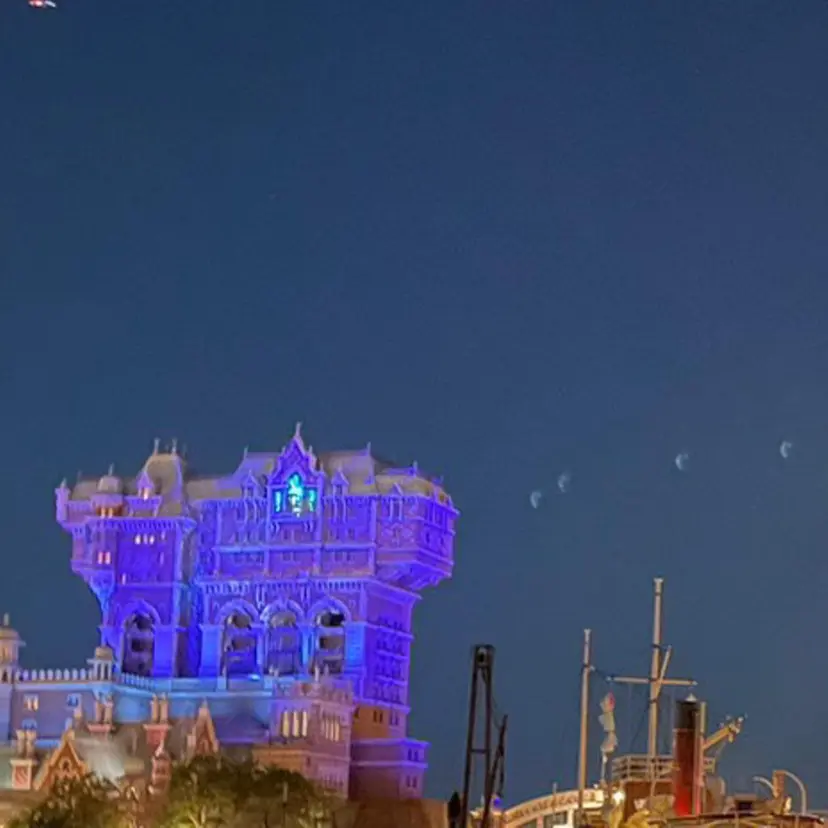 なずな 🧚の掲載