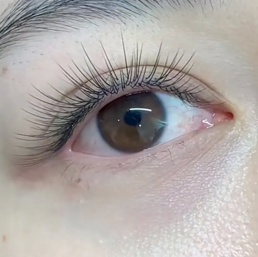 中野 奈那の掲載