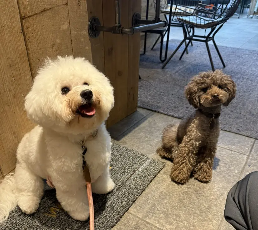 YUKA艶髪 🌸寛ぎ部屋の掲載