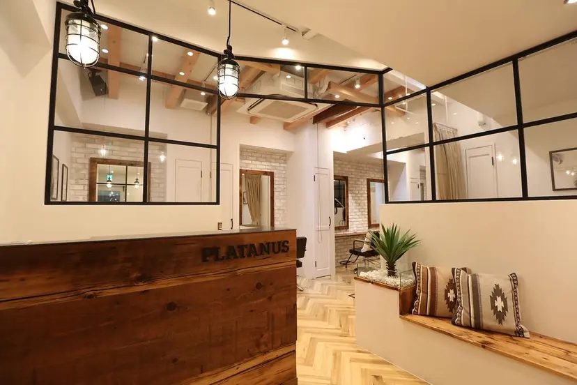 PLATANUS AOIの掲載