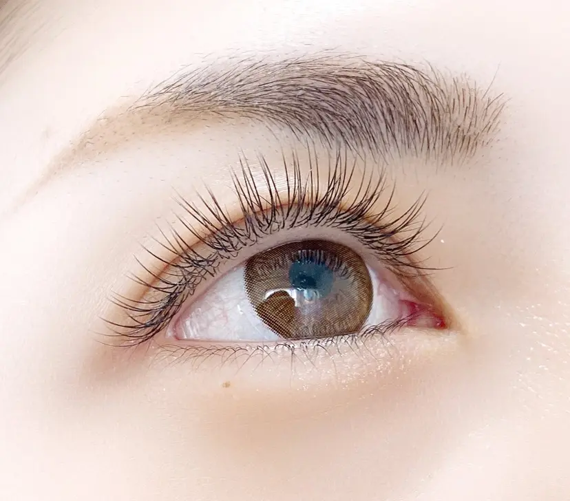 acero カワバタの掲載