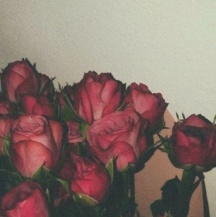 🤍Sakurai Fuka🤍の掲載