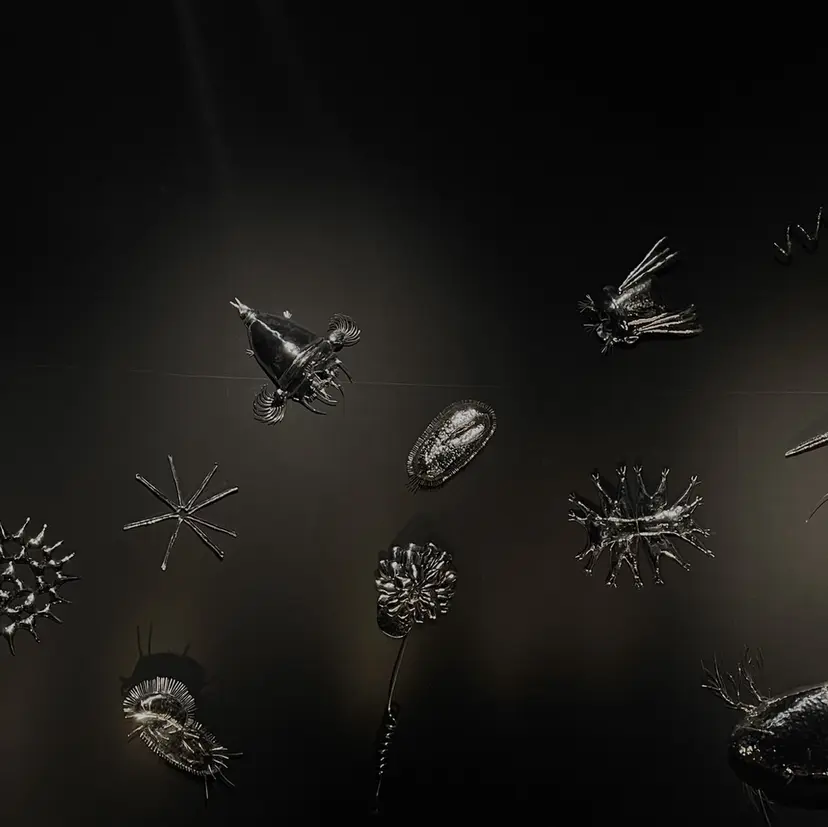 京都駅 / ひなこ 𖤐ﾐの掲載