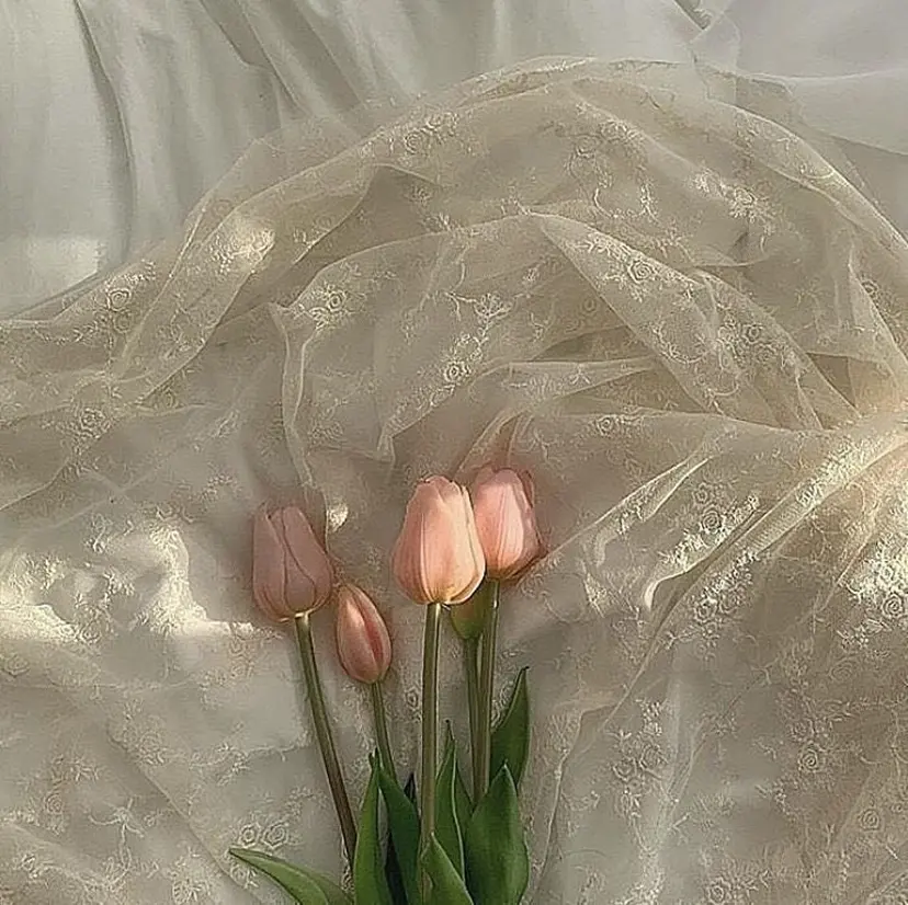 古賀 美奈の掲載