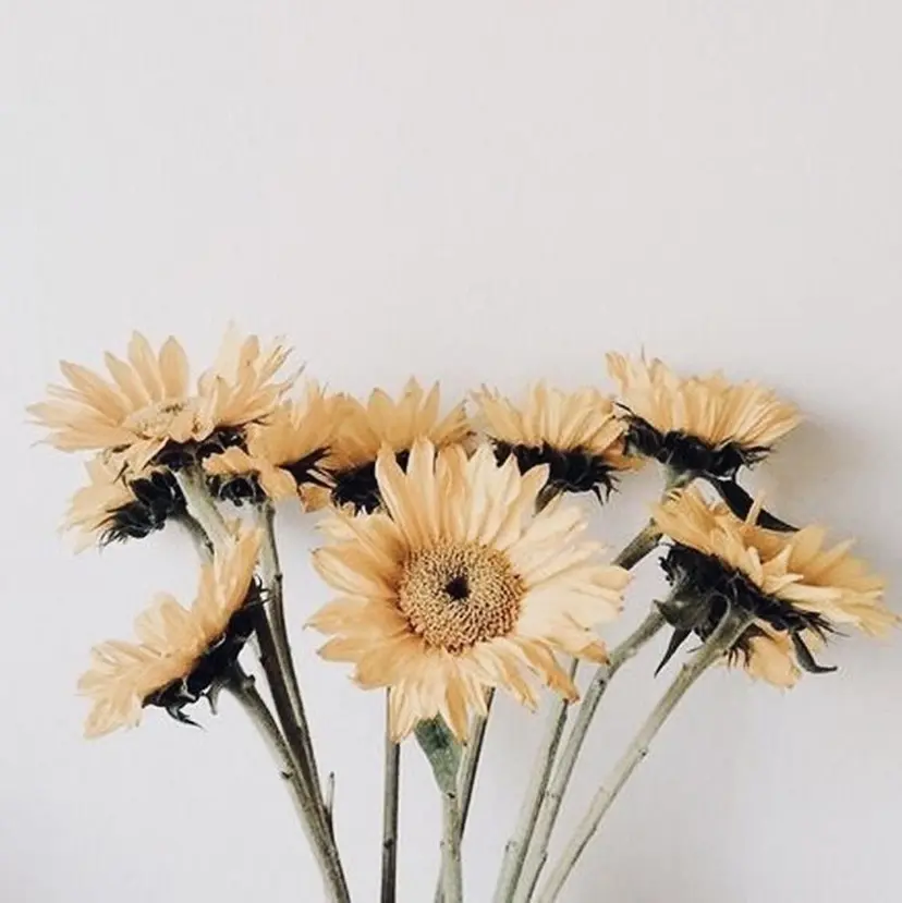 [   ]Shiro KOZの掲載