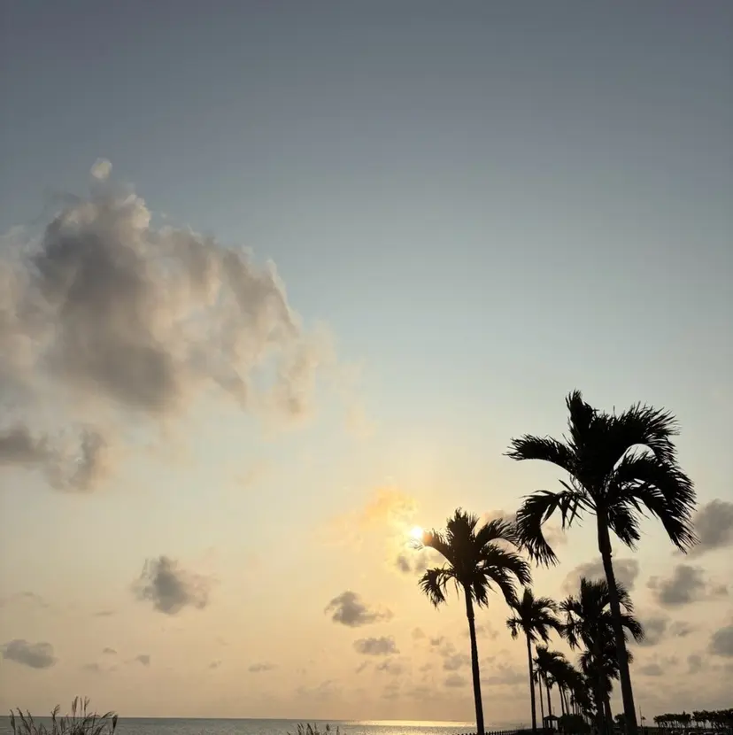 teto コハルの掲載