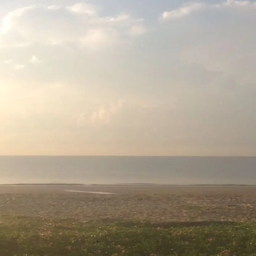 haoto. angelicaの掲載