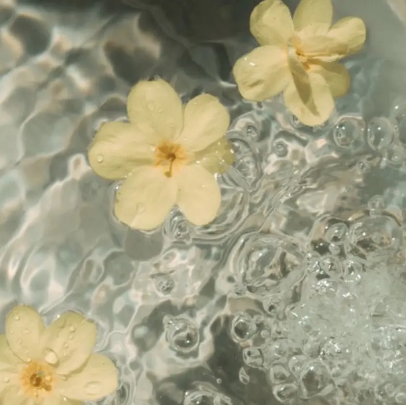 My sweet salon明石🌿‬の掲載