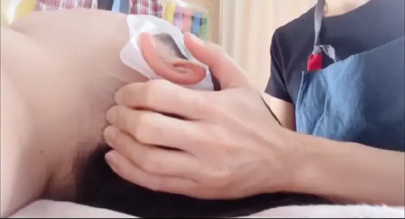 佐藤 有香の掲載