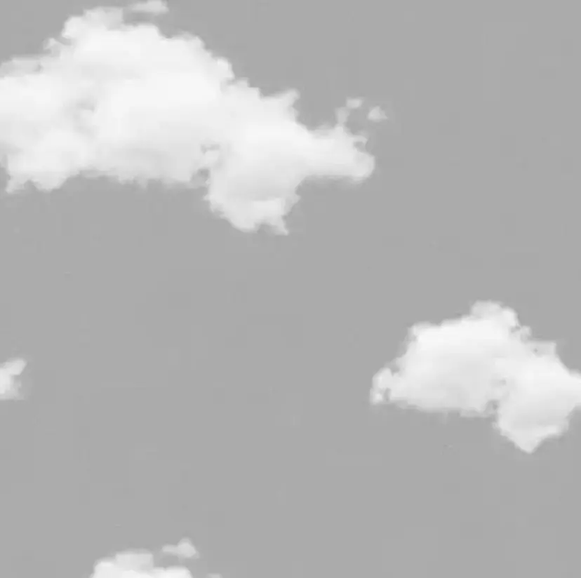 中川 菜月の掲載