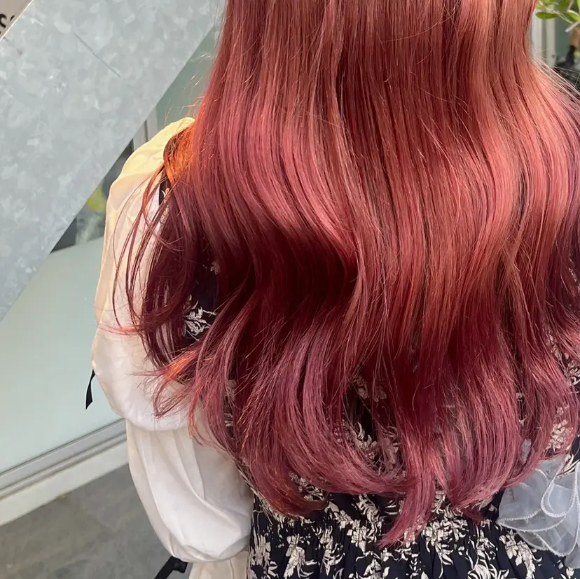 和泉田 真白の掲載