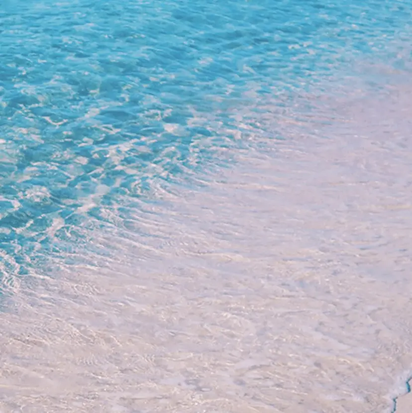 山中 帝耀の掲載