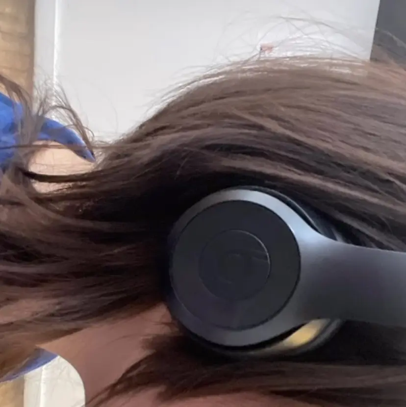 アキモト フウガの掲載