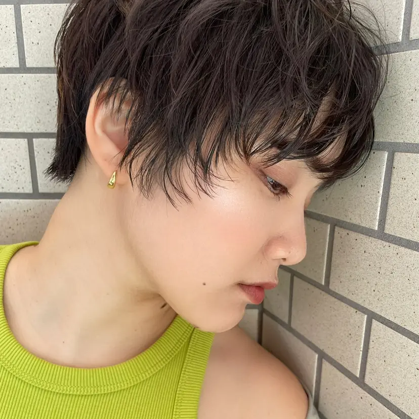 layer cut /MIKUの掲載