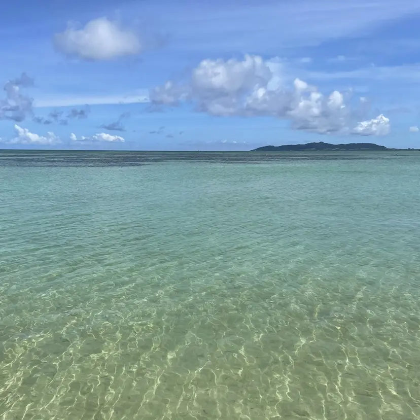 鯨井 浩輔の掲載