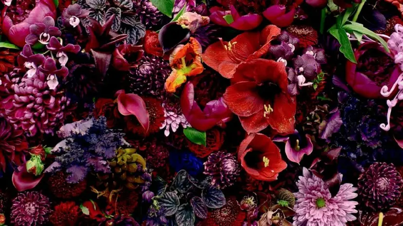 POLA 四軒家店の掲載