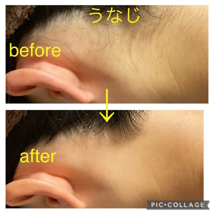 山元 光絵の掲載