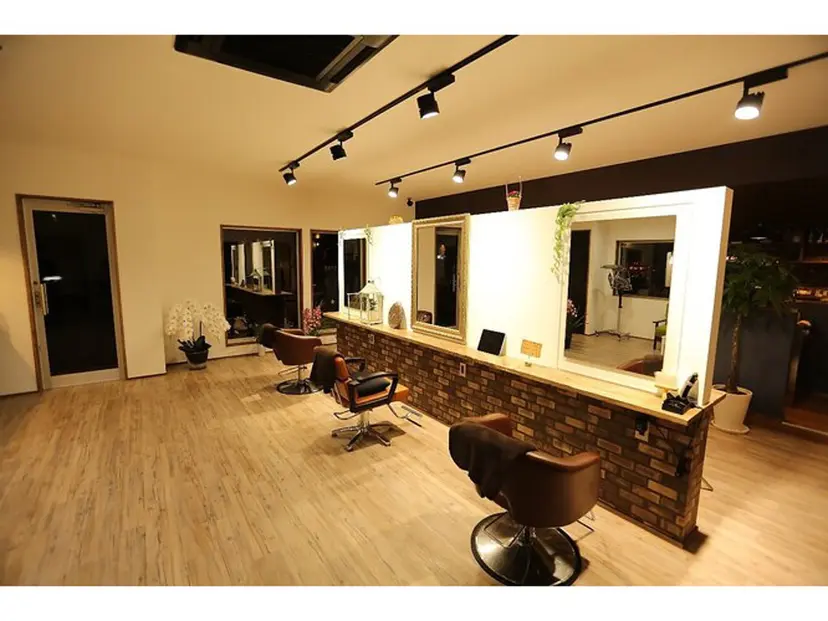 オノ アイラの掲載