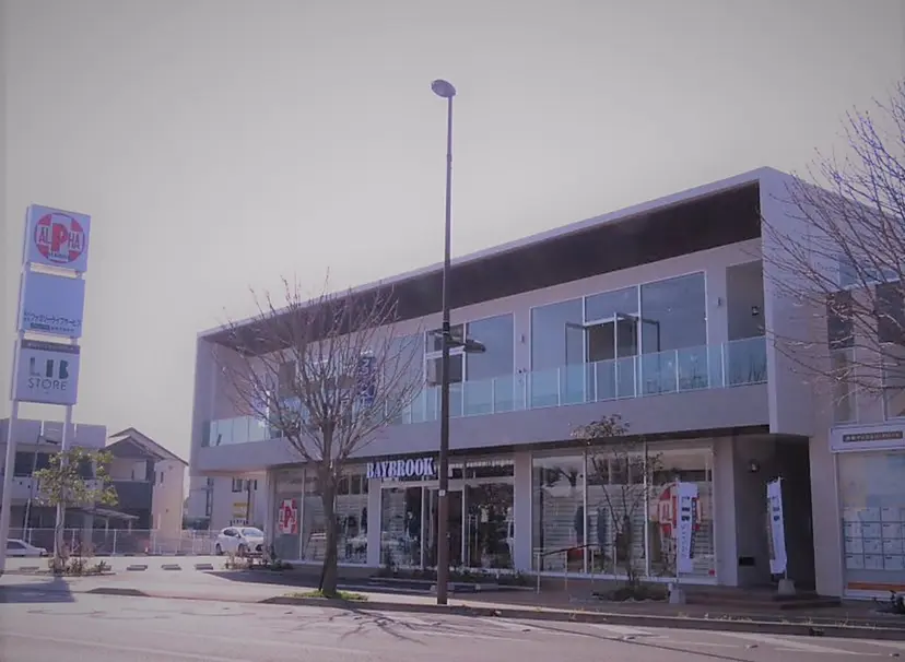 本村 あやかの掲載