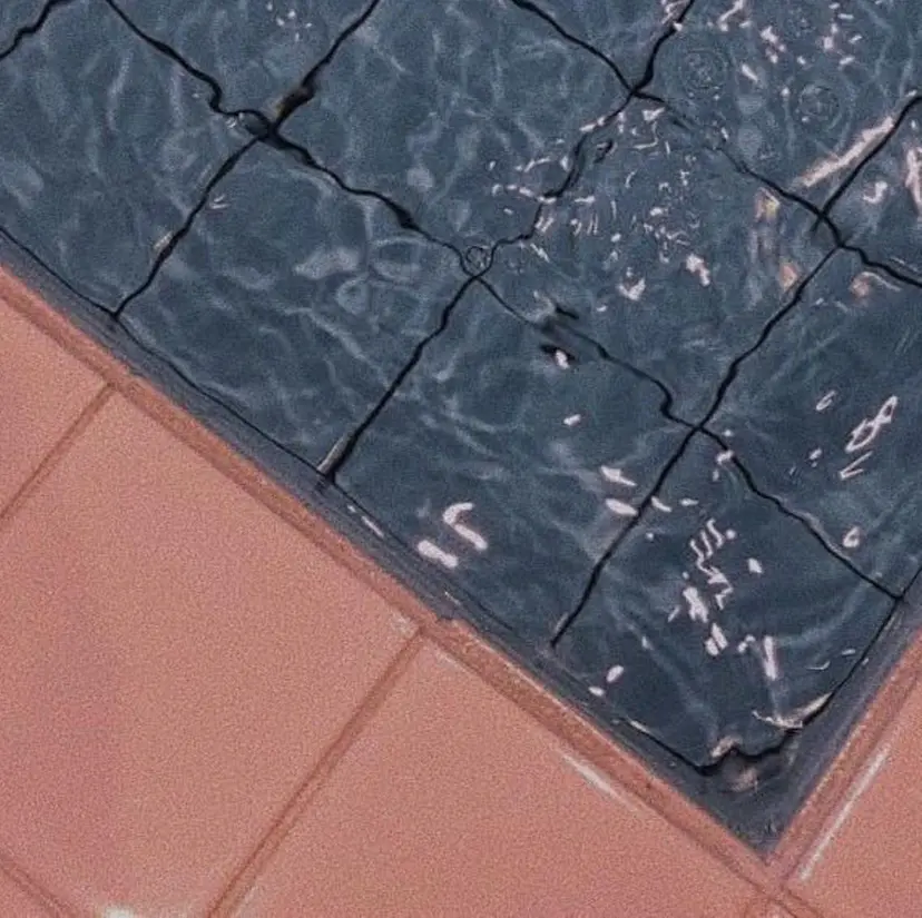 平尾 樹里の掲載