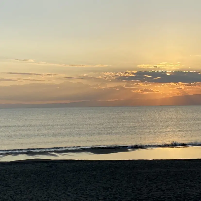 🌻sunc kiwa🌻の掲載