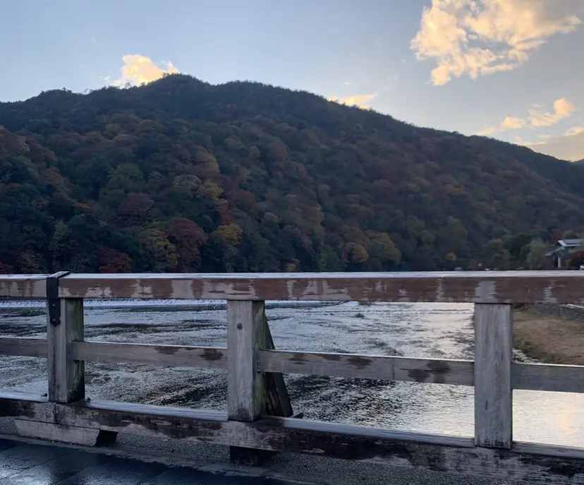 前田 茜子の掲載