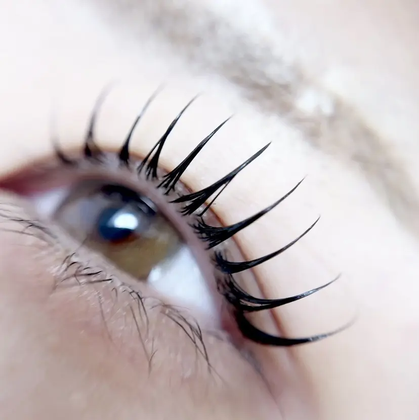 LiberKyoto MEGUの掲載