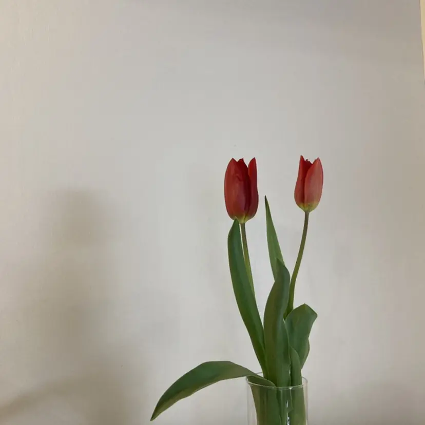 DEEP nail salonの掲載