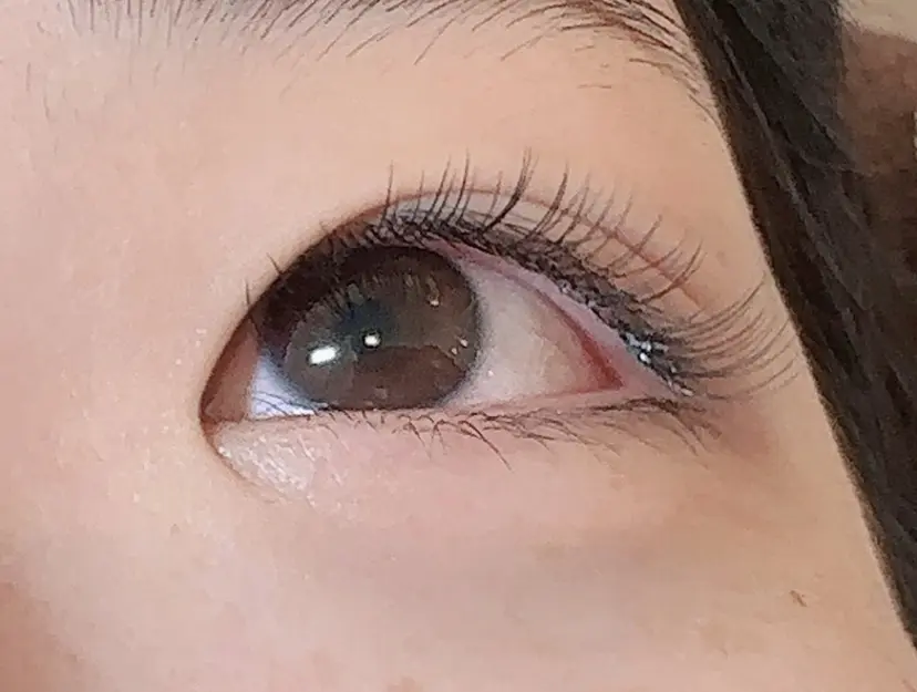 serin銀座 とも子の掲載