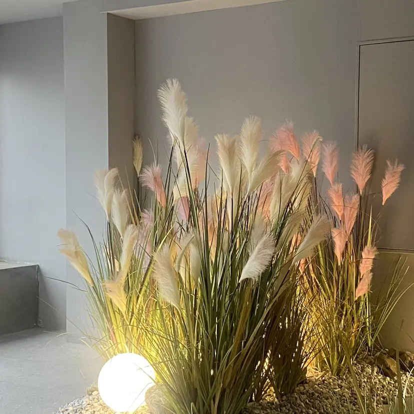 齋藤 菜々未の掲載