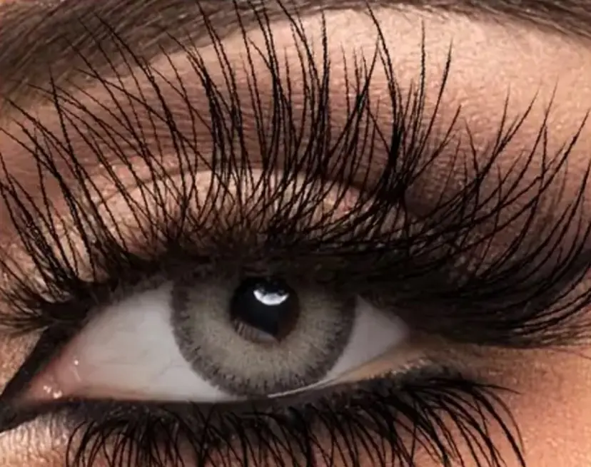 志賀 千鶴の掲載