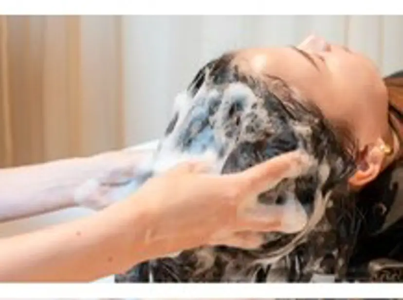 タキザワ キョウコの掲載