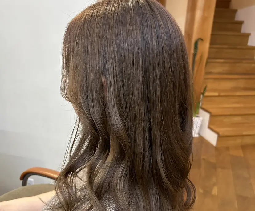 坂崎 千帆の掲載