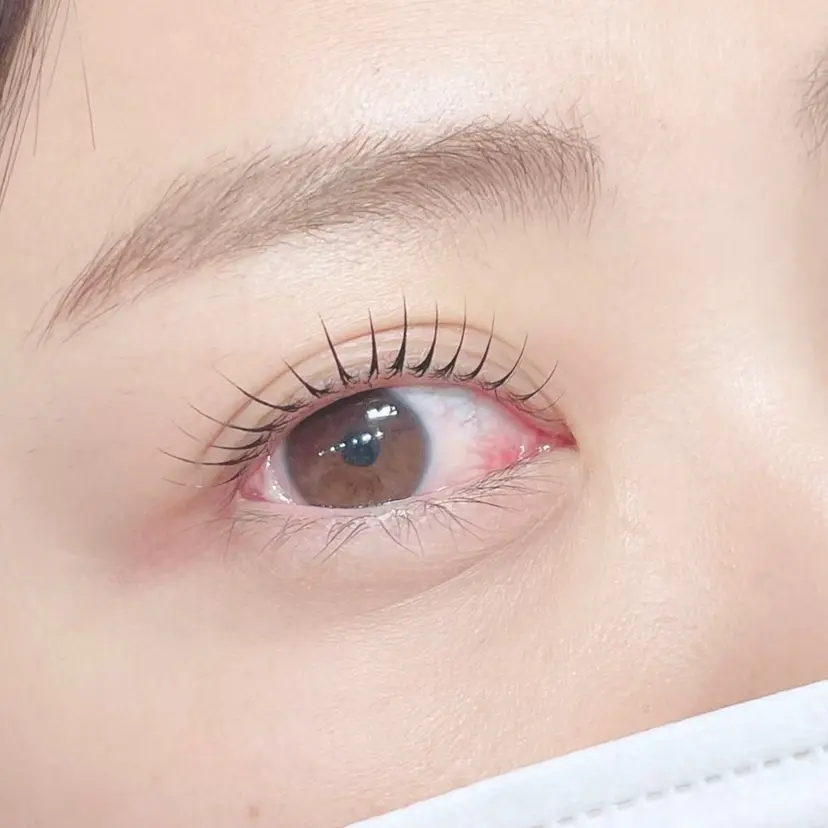 eyelash elleの掲載