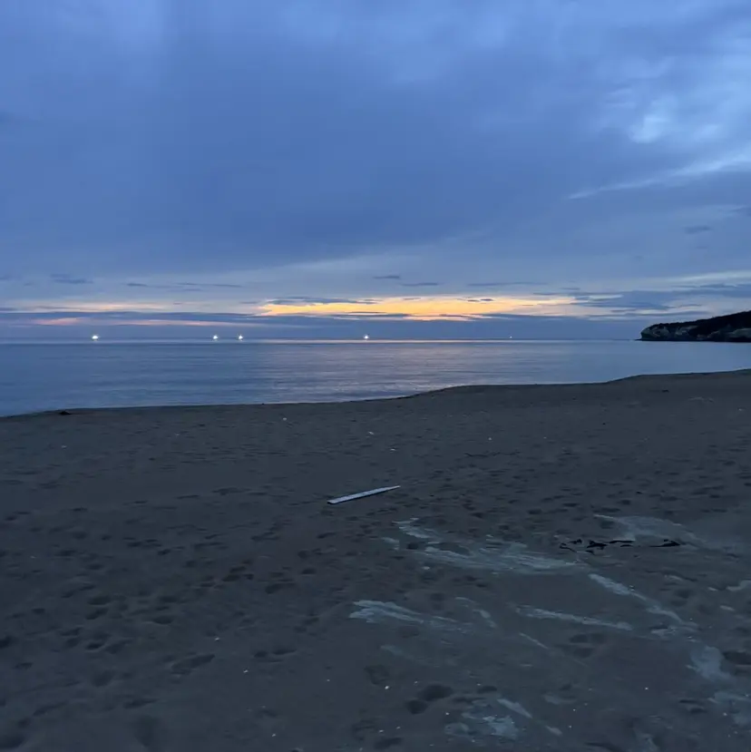 中野 瑠星の掲載