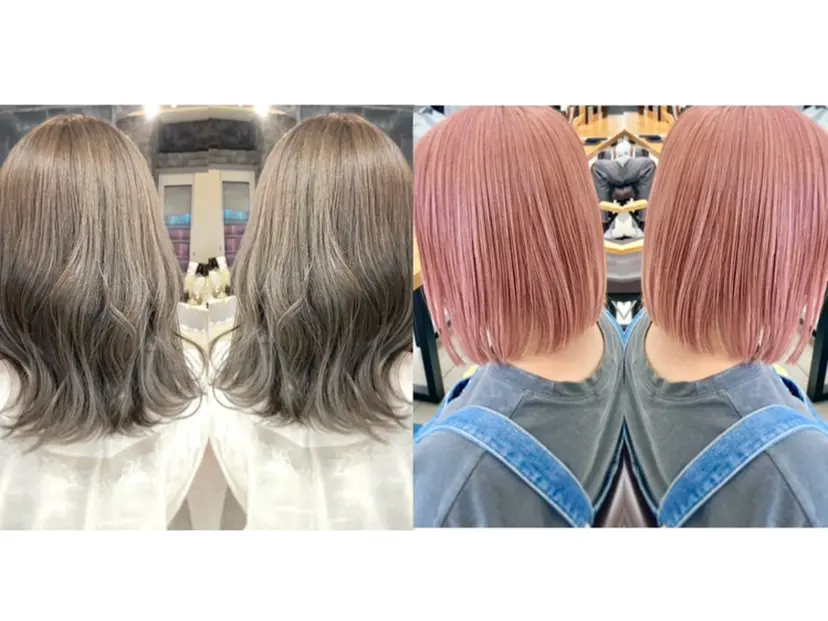 🦔Laulu 菅原綾乃の掲載