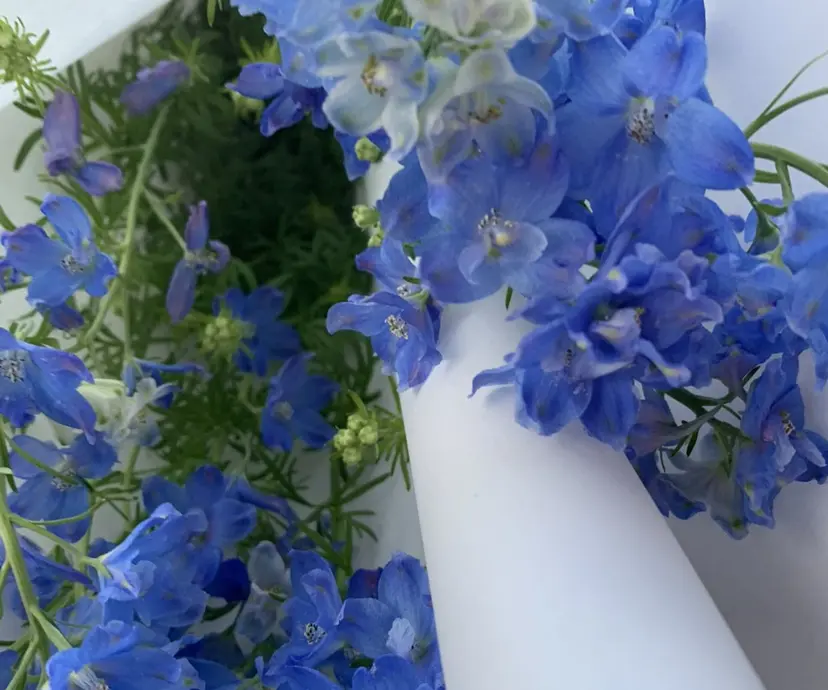 ヘッドスパ/透明感 カラー/なほの掲載