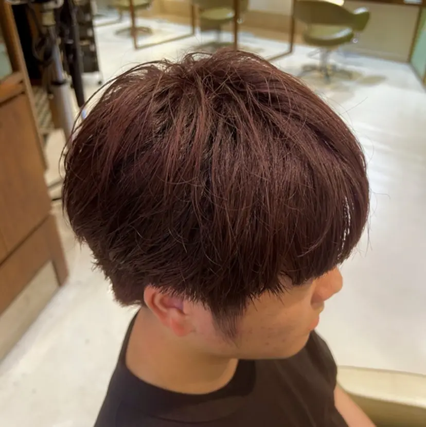 木本 歩々乃の掲載