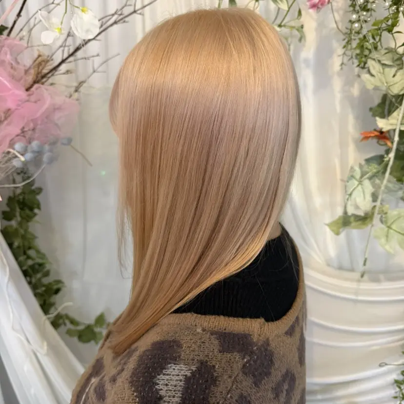 山本 夏恋の掲載