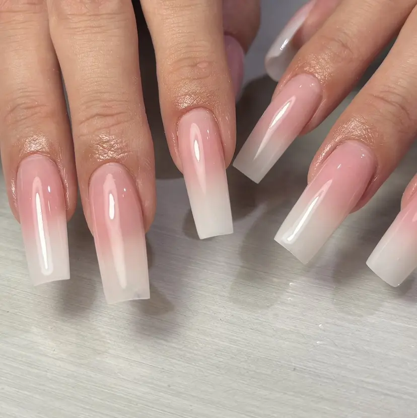 nozaki kanenの掲載