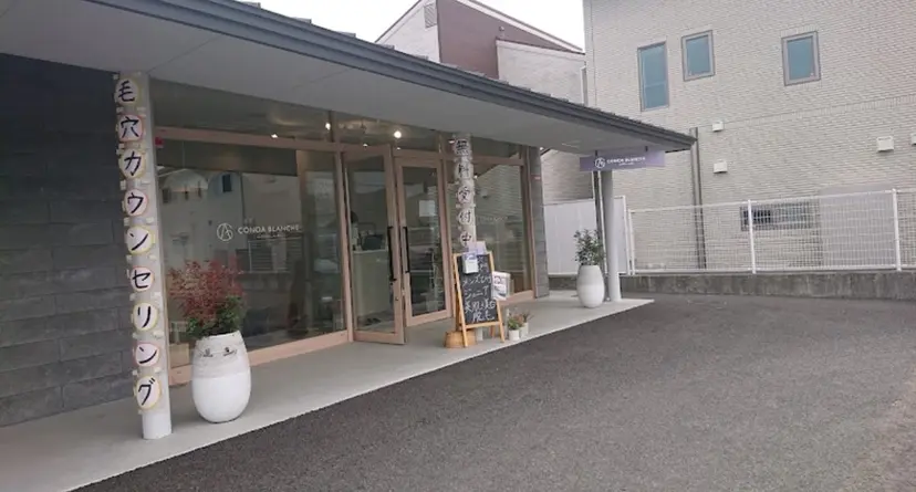 日髙 星奈の掲載