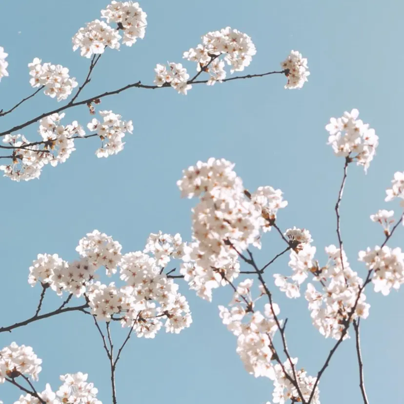 ANDYNail アンディの掲載