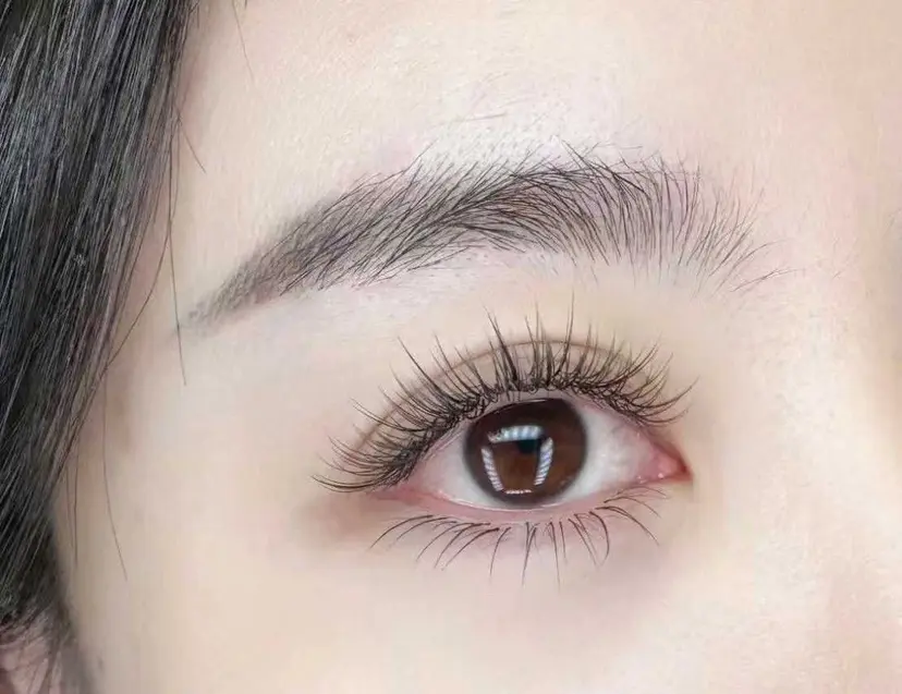 高橋 ルネの掲載