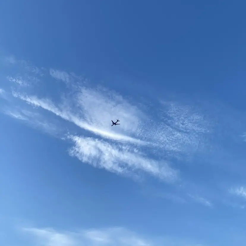 nico🏁 rihoの掲載