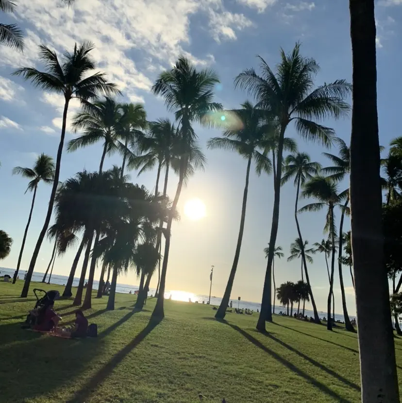 富澤 由佳の掲載