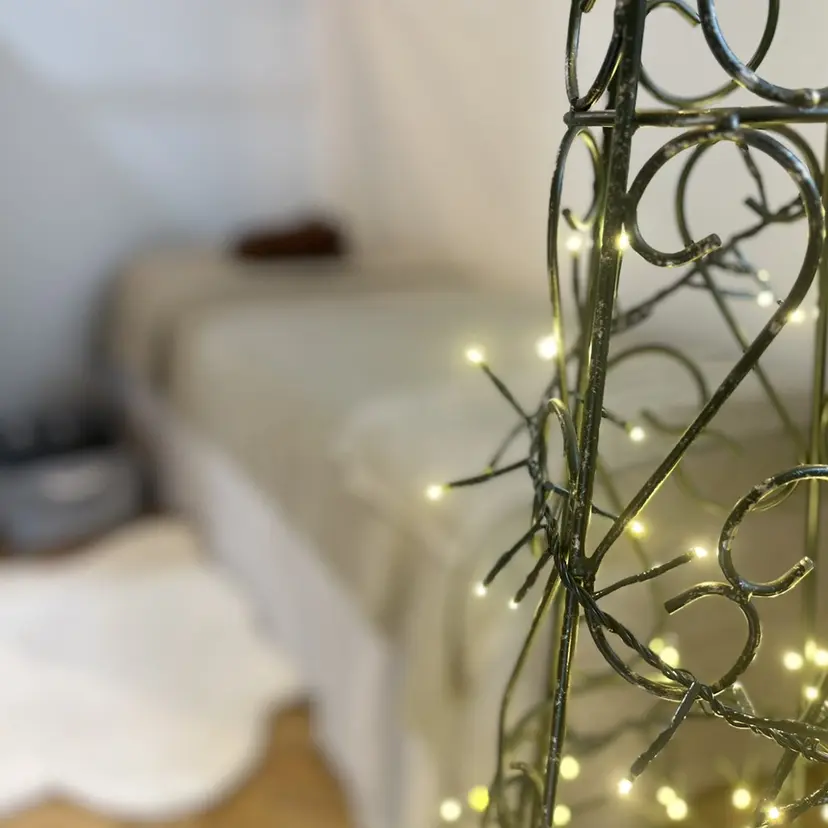 【Salon D】 HALUの掲載