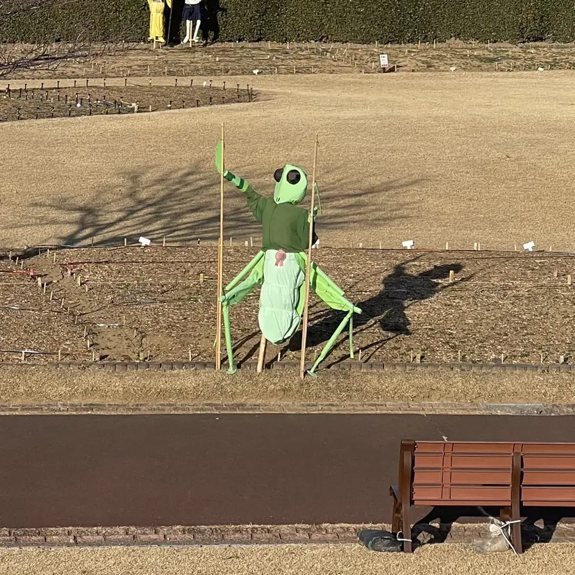 髪質改善/縮毛矯正 kyoka🤖の掲載