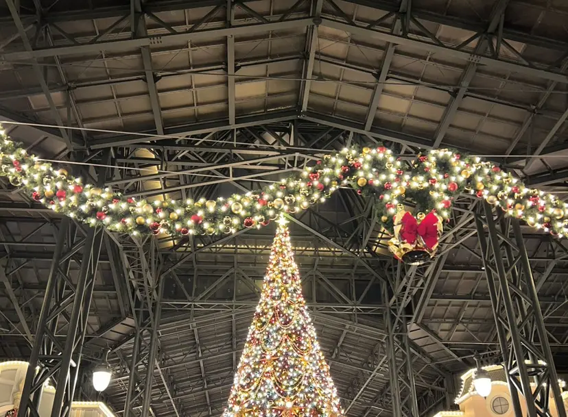 山口 愛紗花の掲載