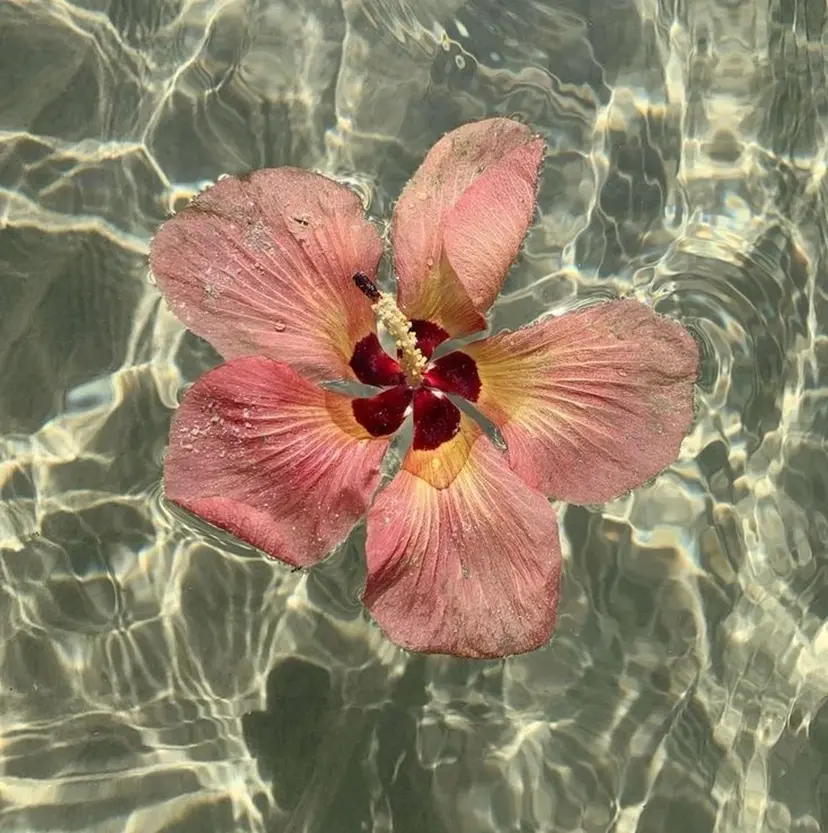 🌱暖色カラー/ 艶カラーMIHOの掲載